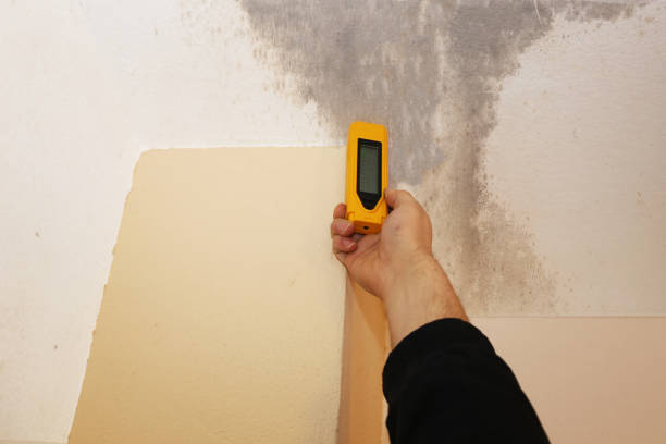 Biohazard Mold Removal in Thorofare, NJ