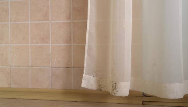 Best Commercial Mold Inspection  in Thorofare, NJ