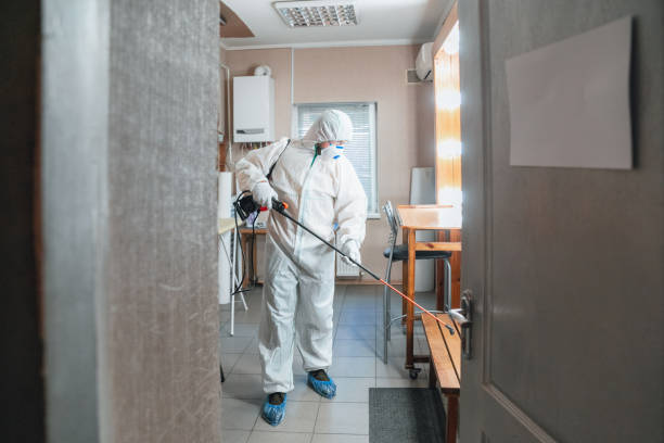 Best Comprehensive Air Testing for Mold Contaminants  in Thorofare, NJ
