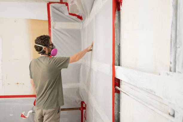 Best Dehumidification Services  in Thorofare, NJ