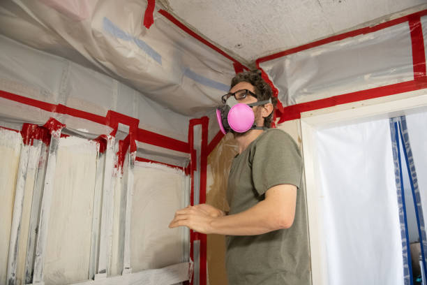 Best Mold Prevention Services  in Thorofare, NJ