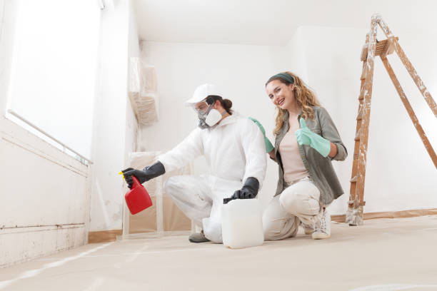 Best Industrial Mold Remediation  in Thorofare, NJ